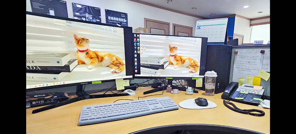 [BIM]건축설계(캐드,래빗,스케치업,맥스) 인테리어 양성과정C